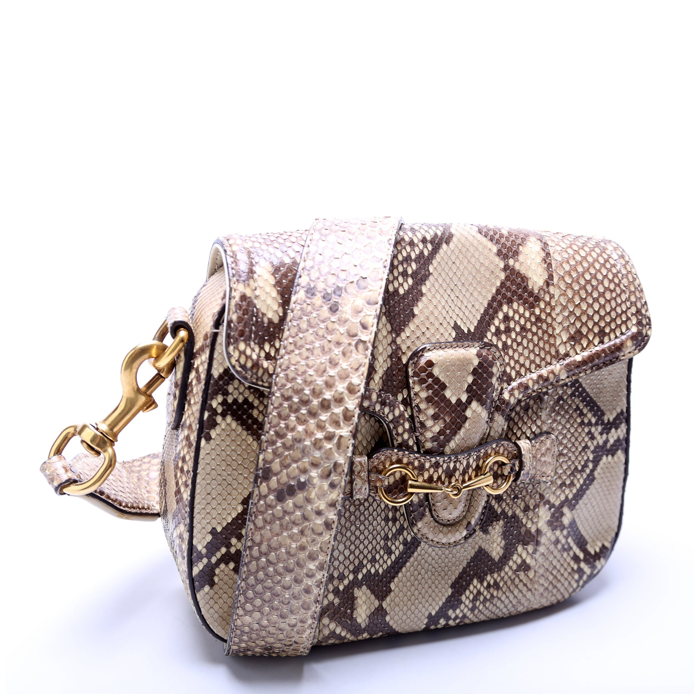 380573 Lady Web Python