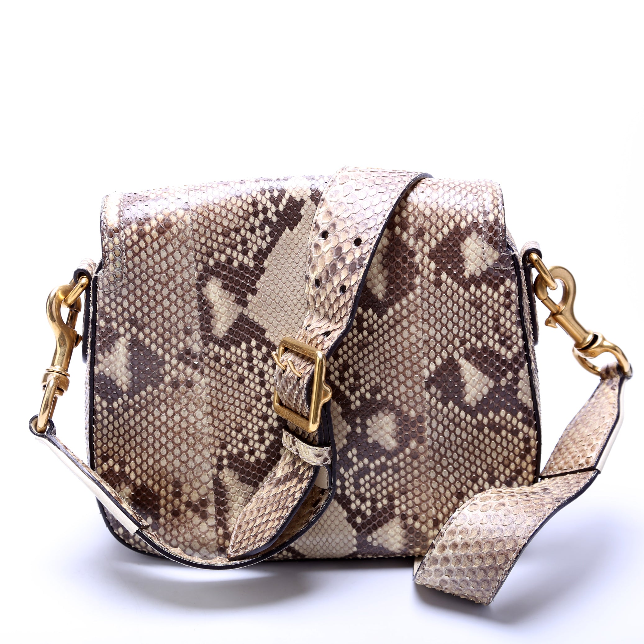 380573 Lady Web Python