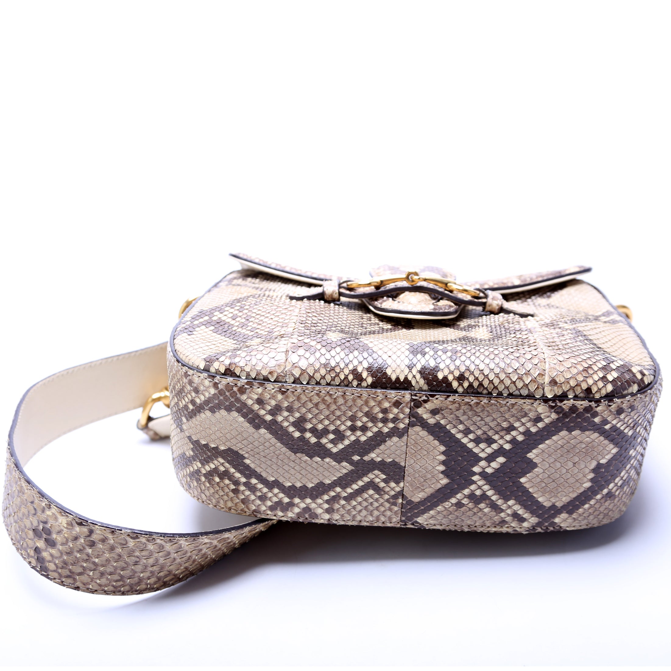 380573 Lady Web Python