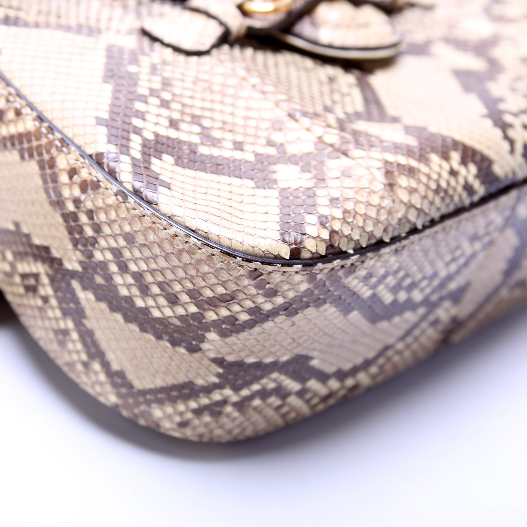 380573 Lady Web Python