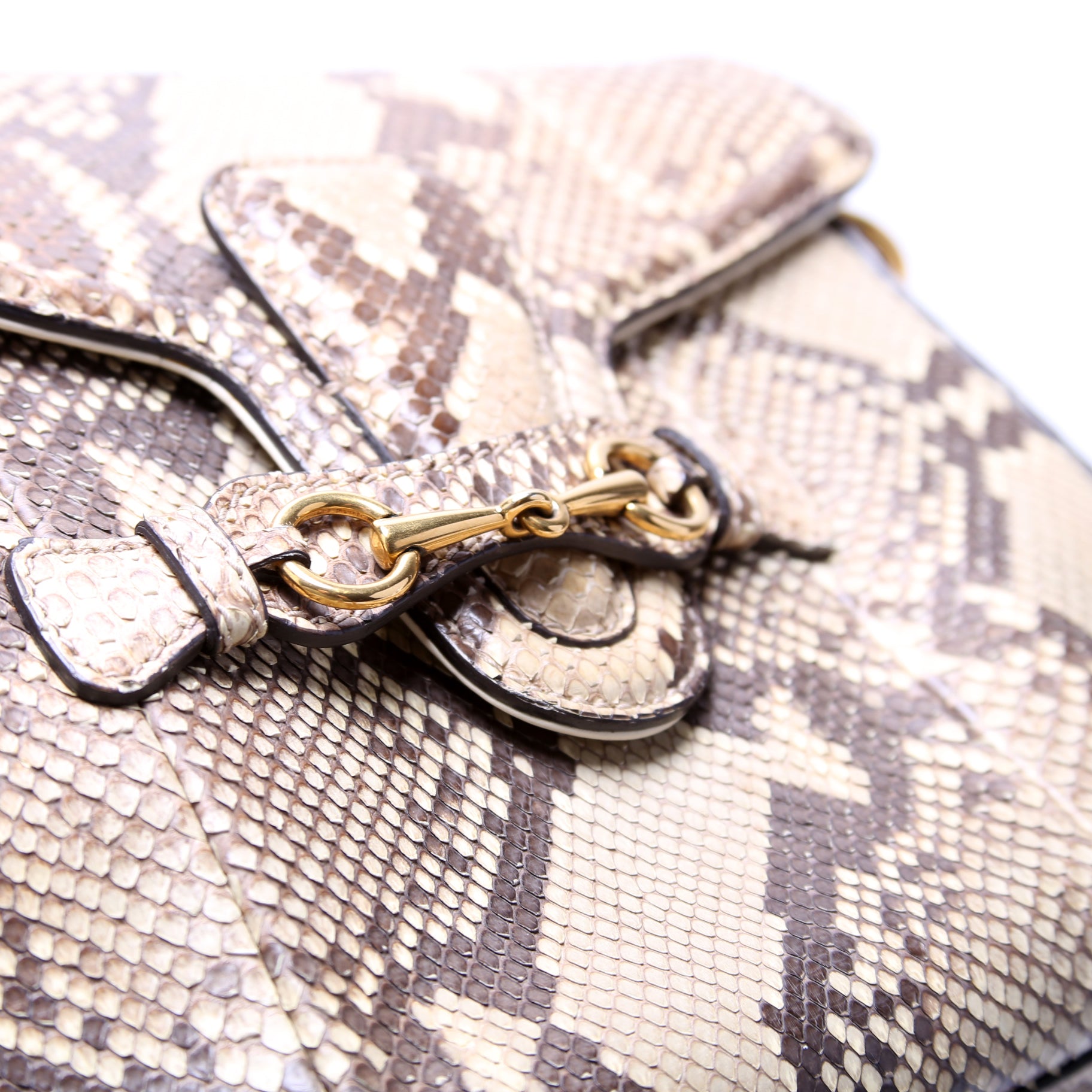380573 Lady Web Python