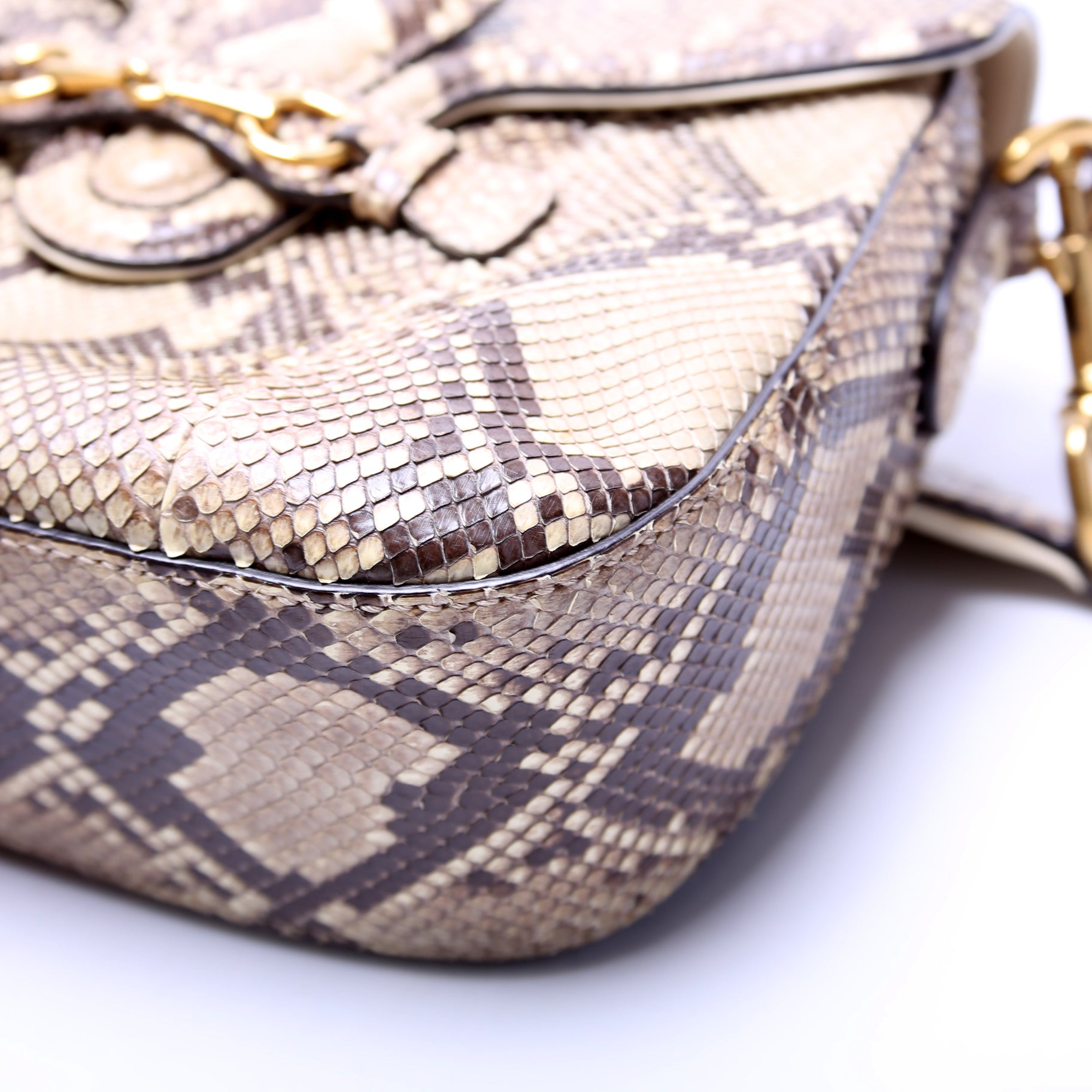 380573 Lady Web Python