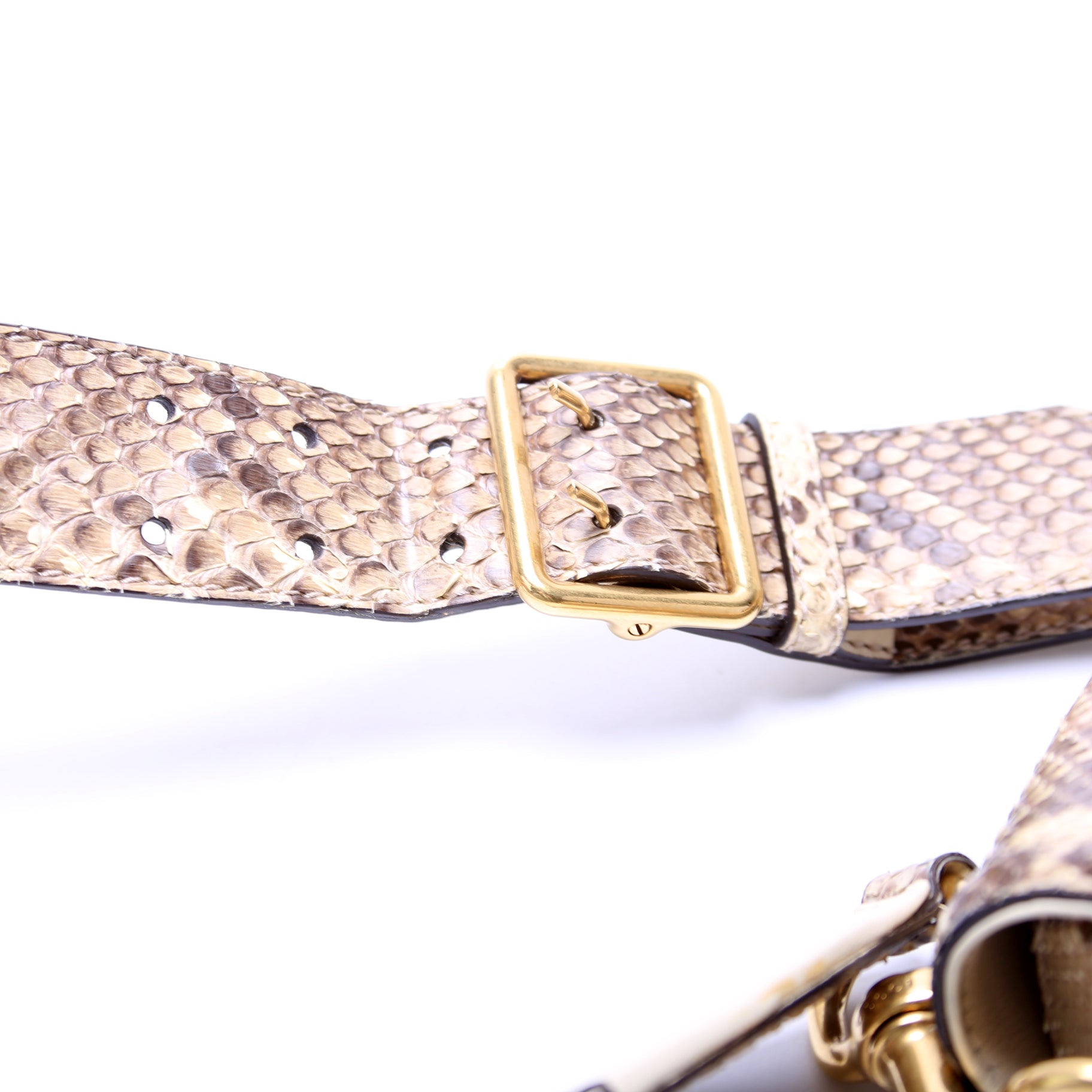 380573 Lady Web Python