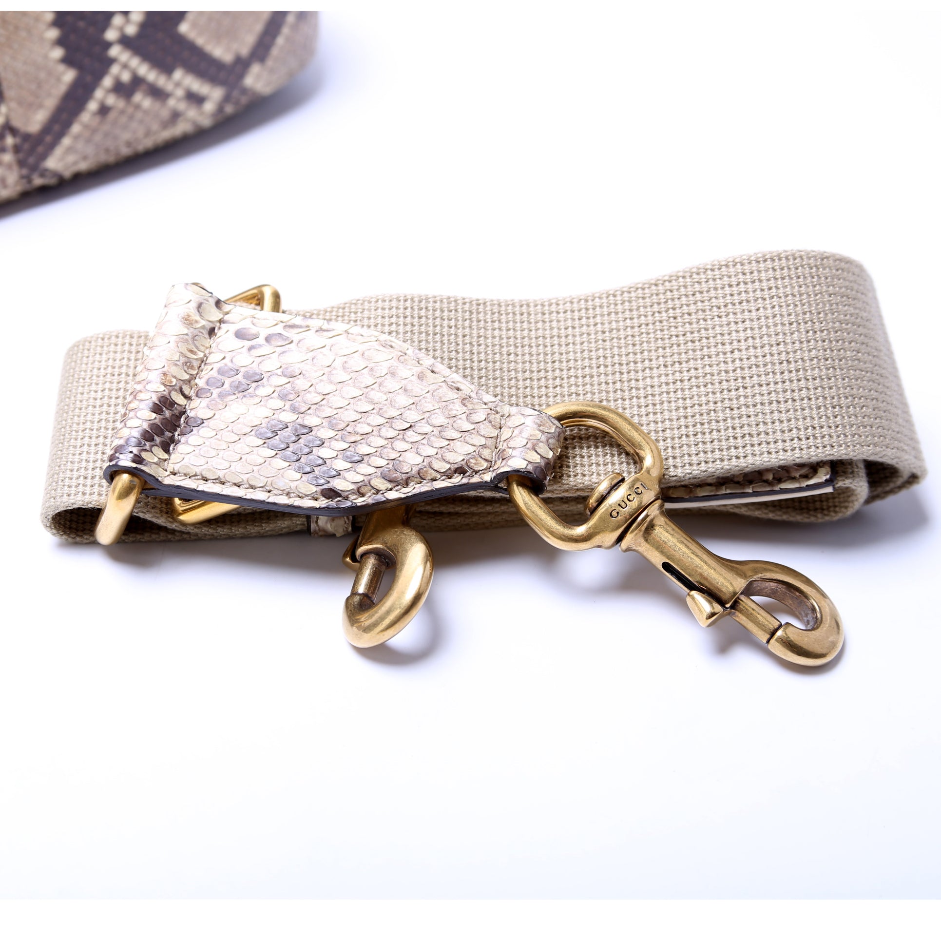 380573 Lady Web Python