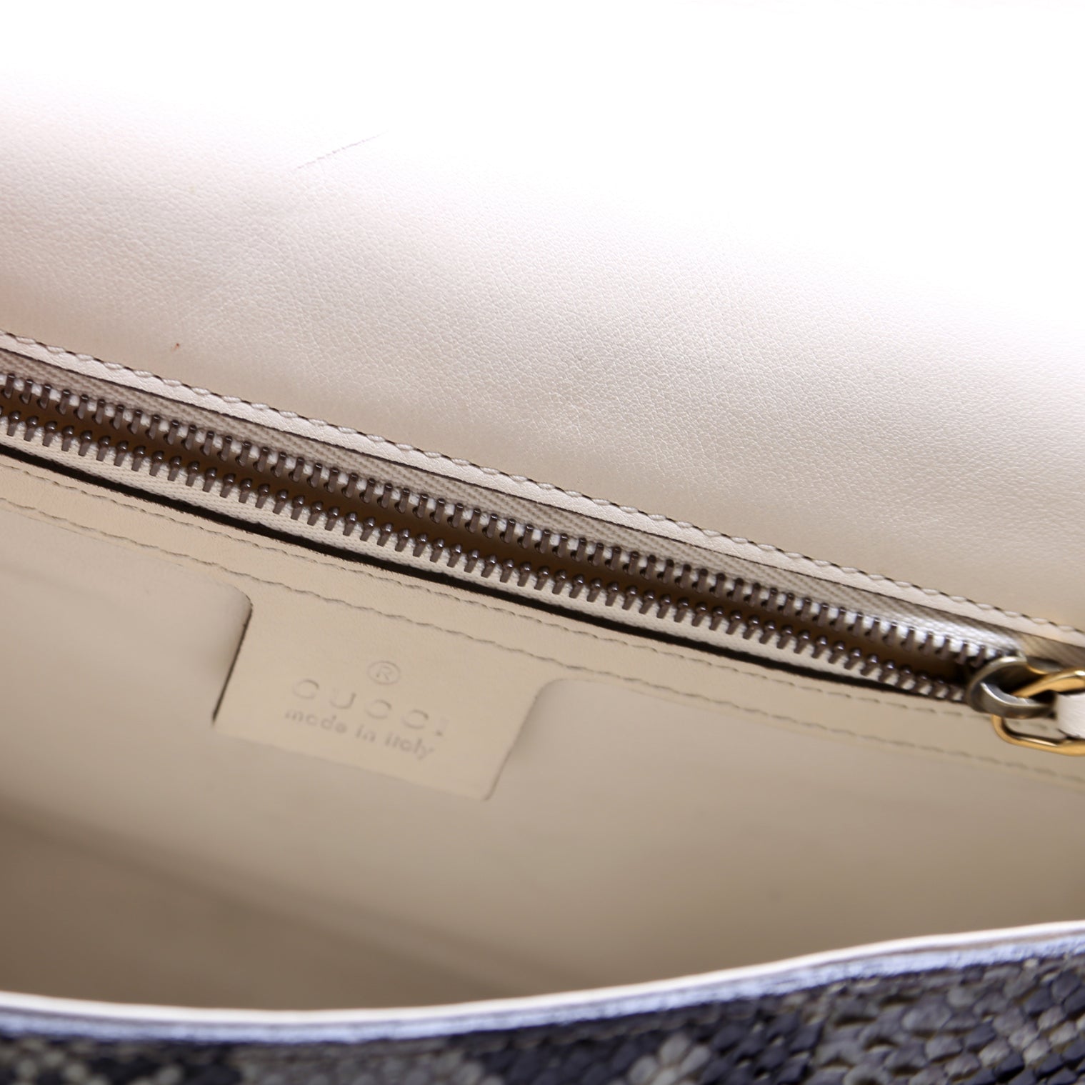380573 Lady Web Python