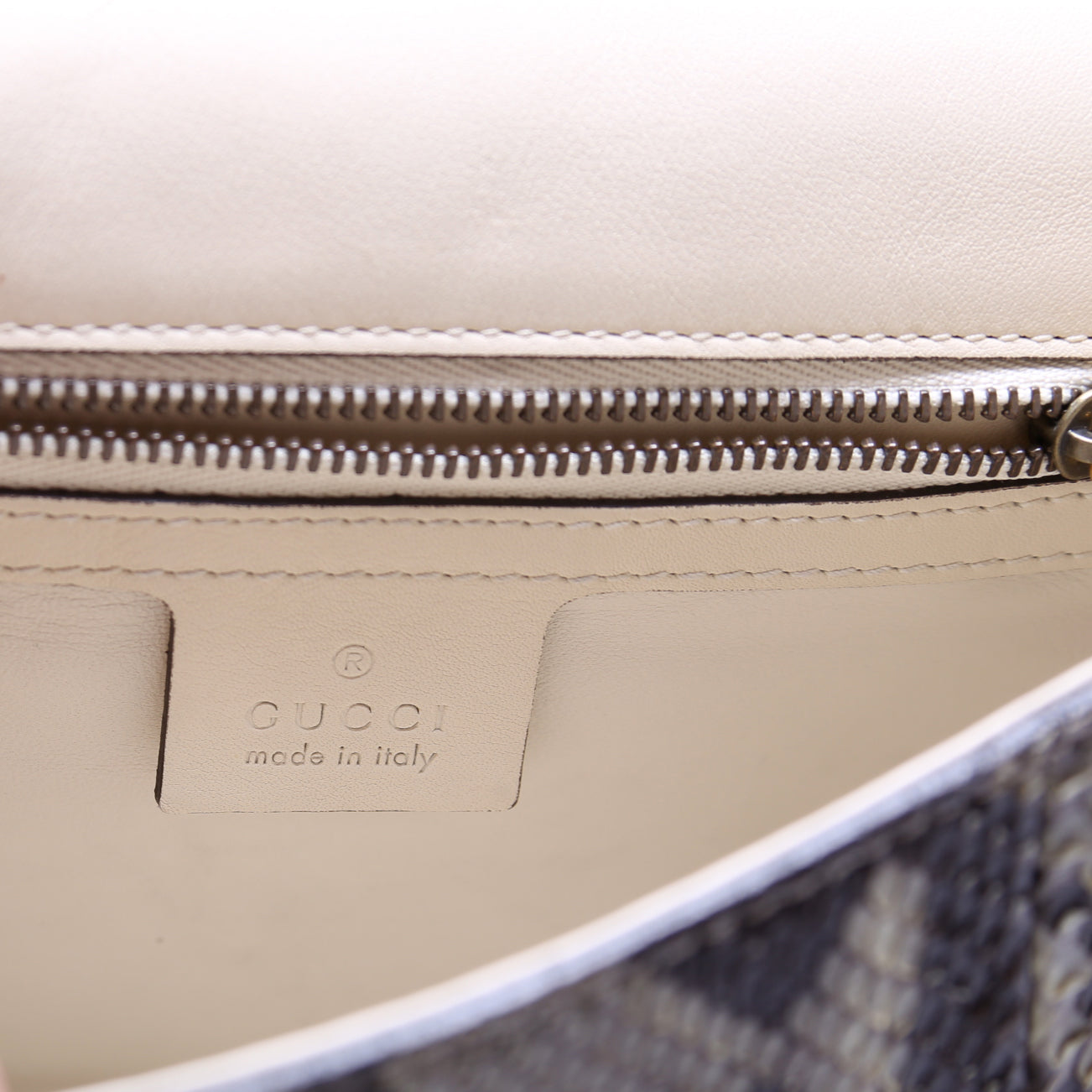 380573 Lady Web Python