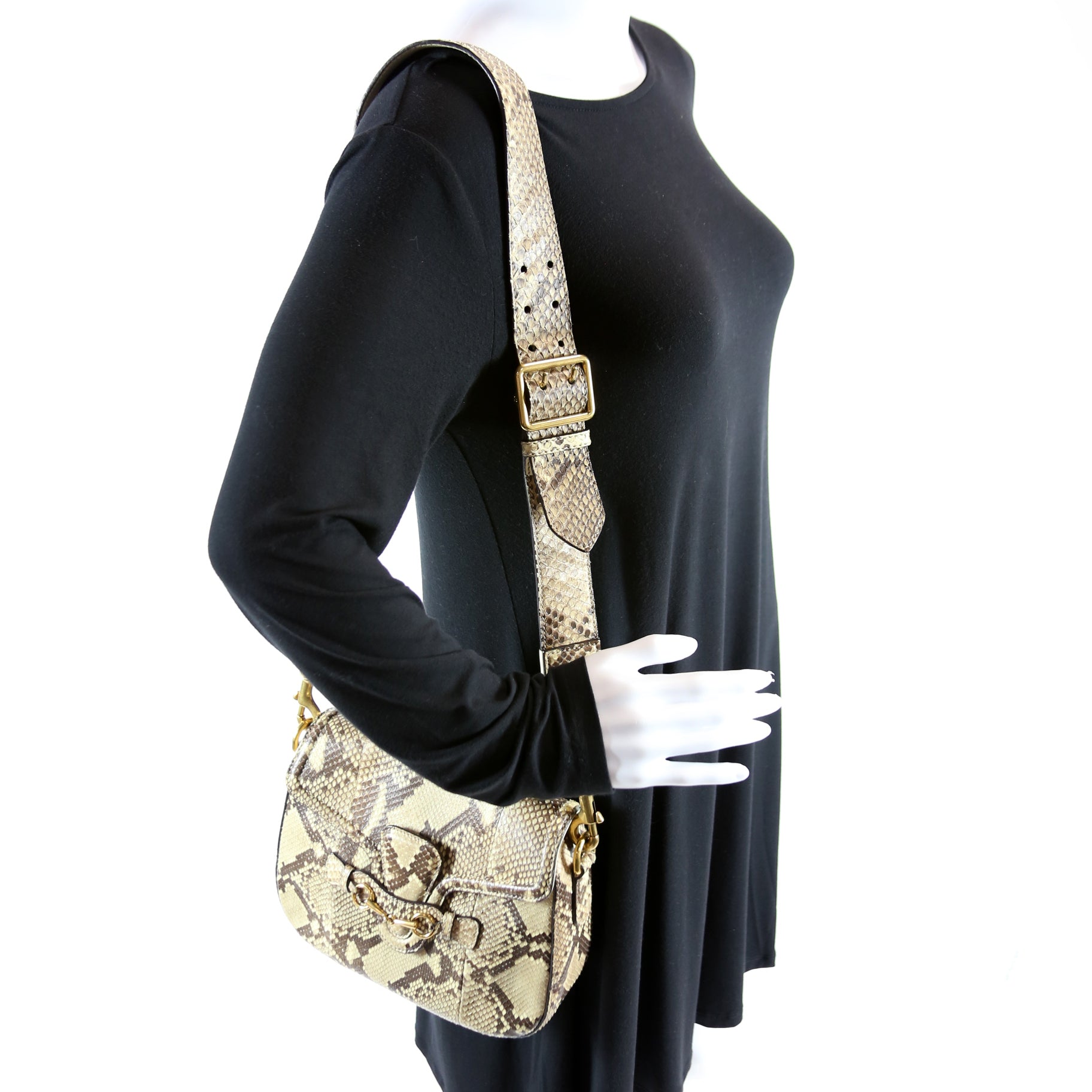 380573 Lady Web Python