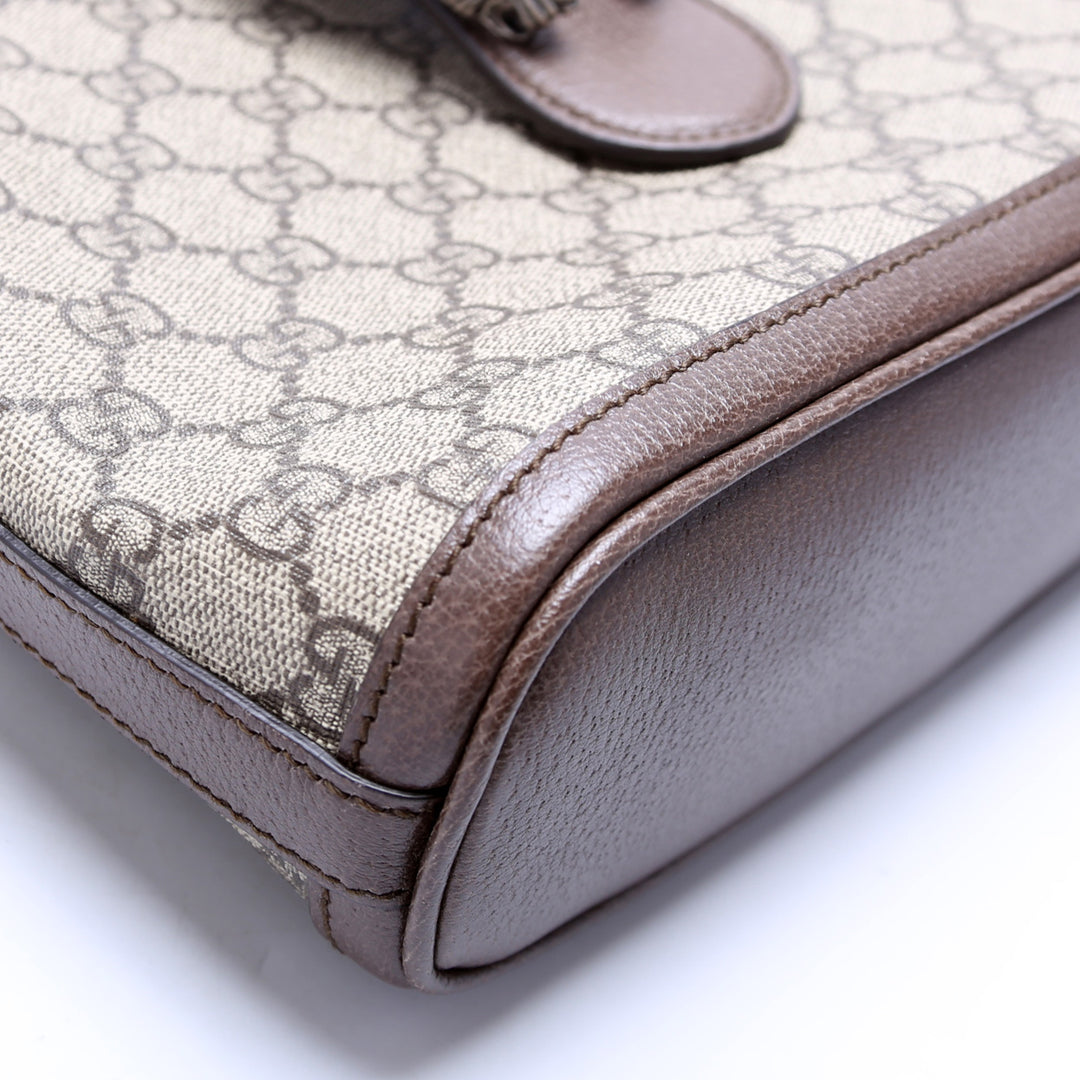 Dionysus Bucket Bag 499622