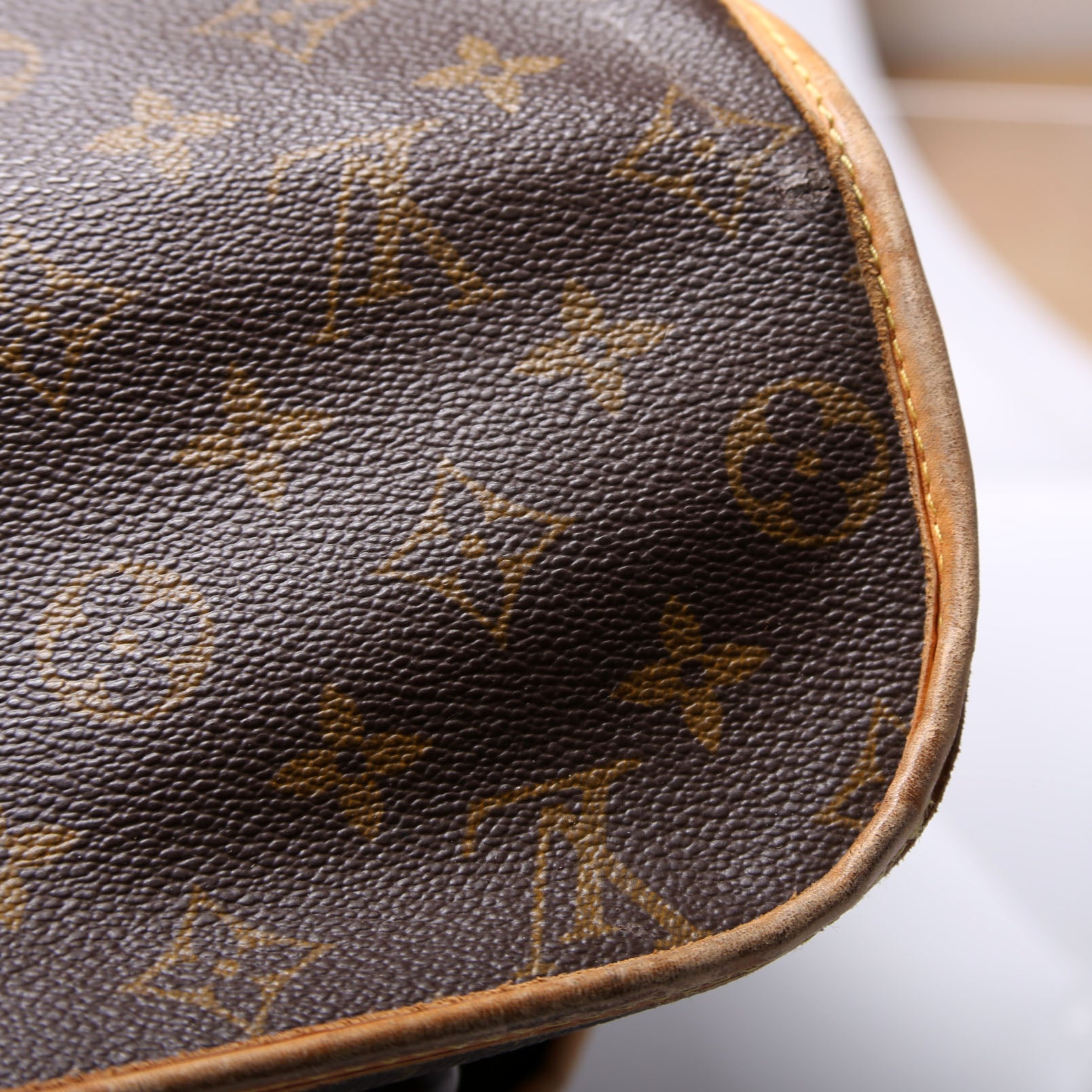 Garment Carrier Travel Bag Monogram