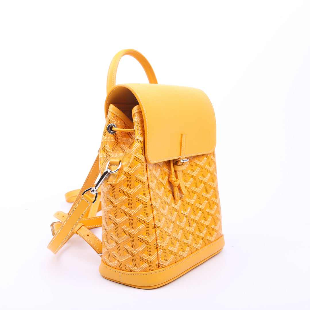 新品goyard ゴヤール ALPIN MINI リュックサック バックパック Goyard Alpin Mini Backpack Green Goyardine Calfskin