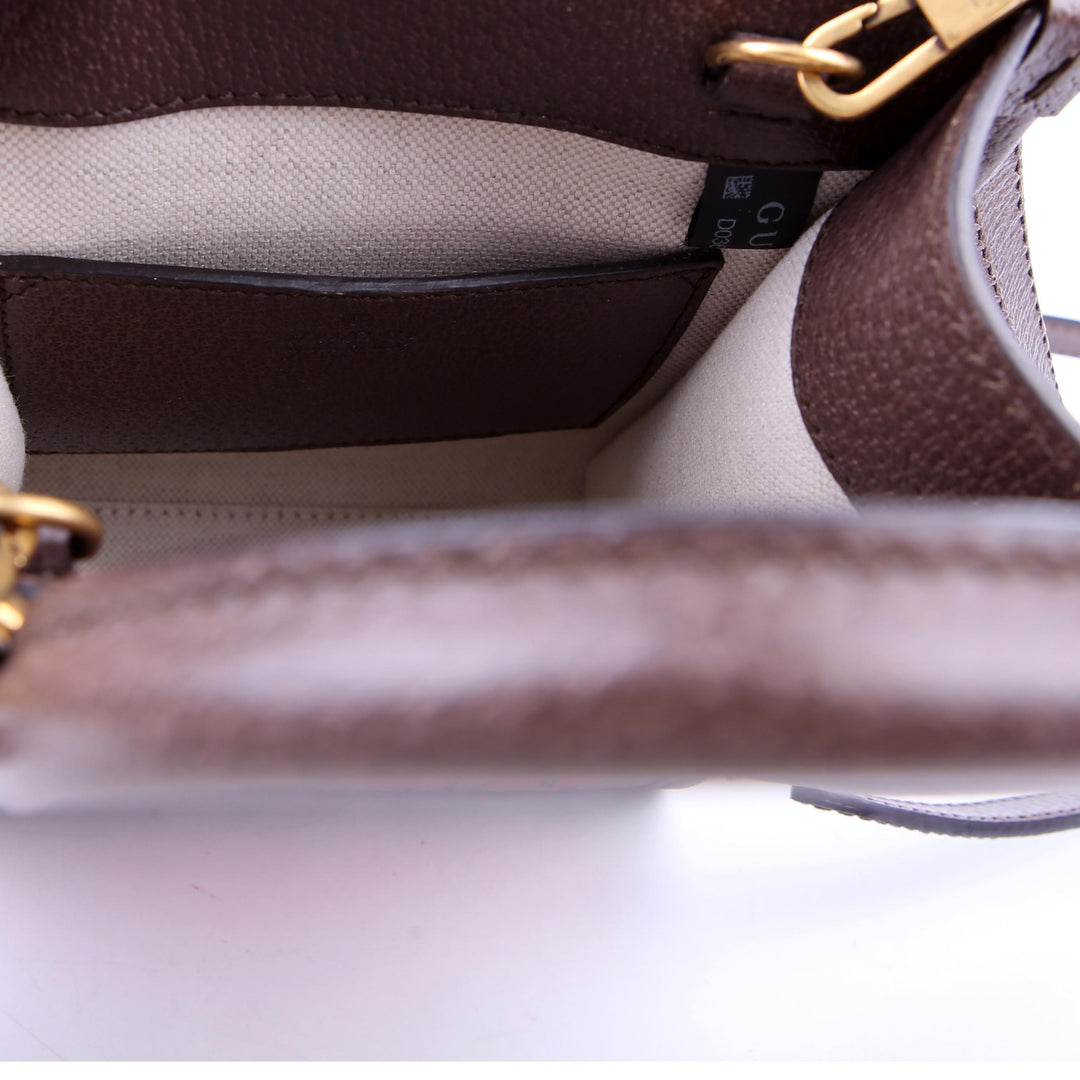 671623 Mini Tote Bag Interlocking G Tiger Brown