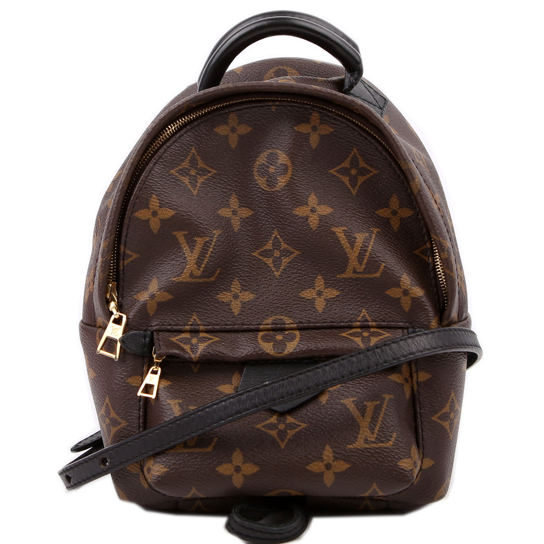 Louis Vuitton Palm Springs Monogram Mini Backpack