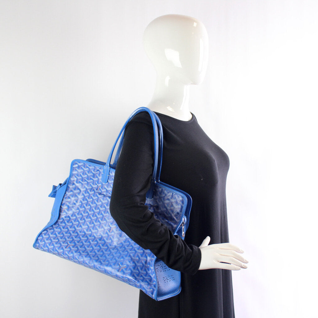 Sac Hardy PM W/ Pouch Pet Carrier Goyardine Canvas – Keeks Designer Handbags