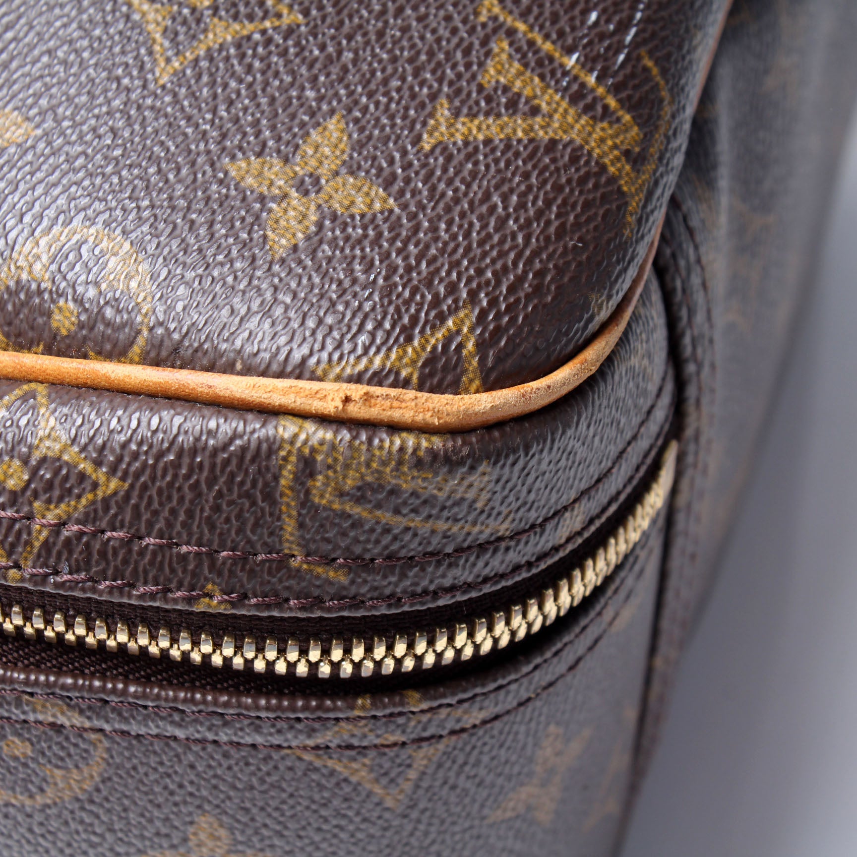 Louis Vuitton, Bags, Louis Vuitton Lv Monogram Excursion Shoe Bag