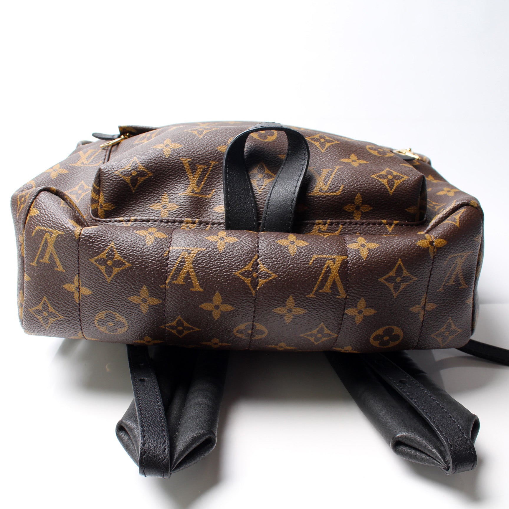 Palm Springs Backpack MM – Keeks Designer Handbags