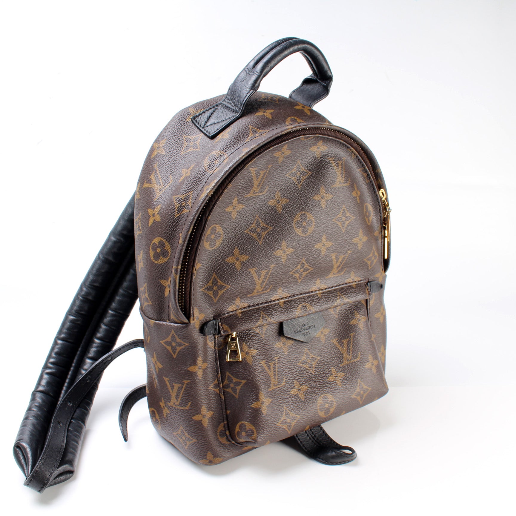 LOUIS VUITTON Palm Springs Backpack PM