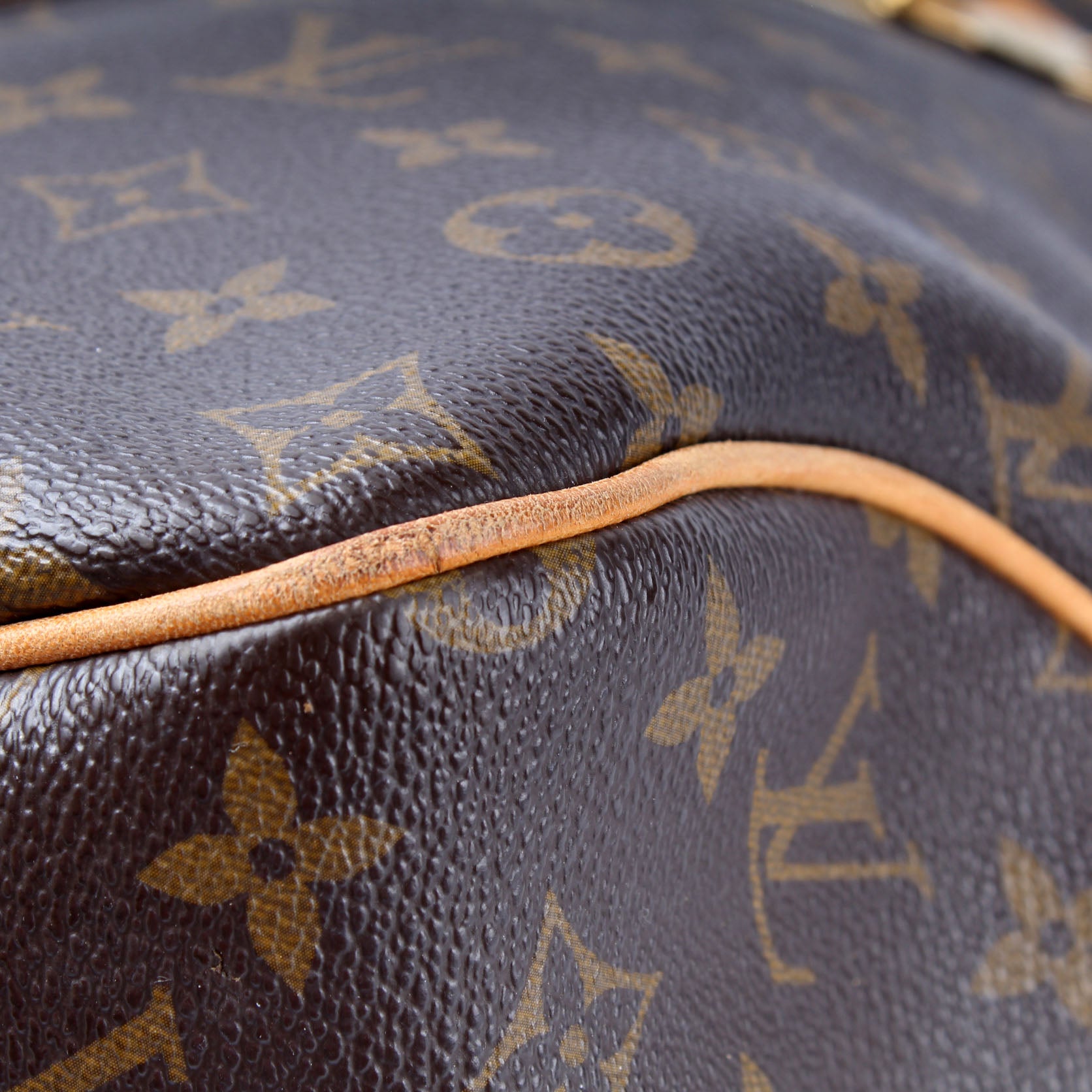 LOUIS VUITTON Monogram Delightful GM 20611