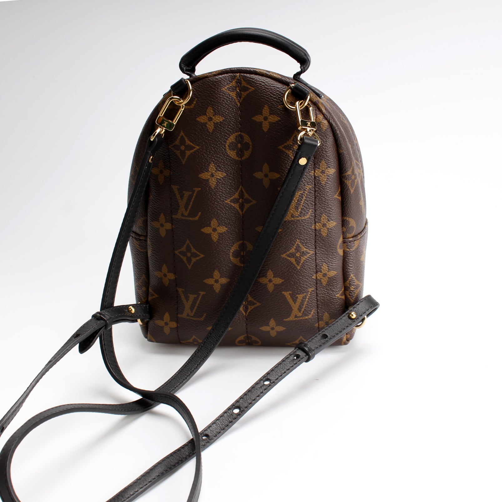 LV Mini Palm Springs Backpack, Page 166
