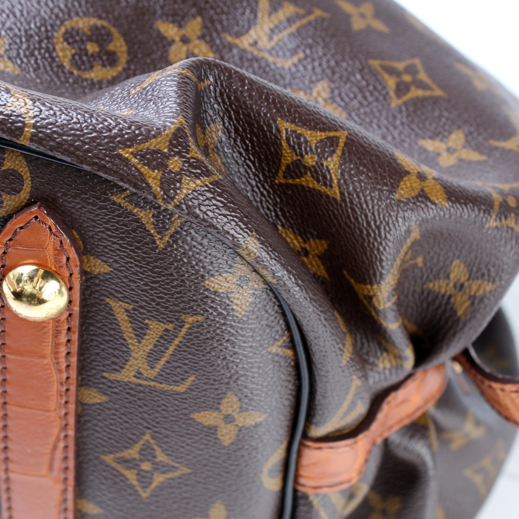 Mahina XL Monogram Alligator Trim – Keeks Designer Handbags