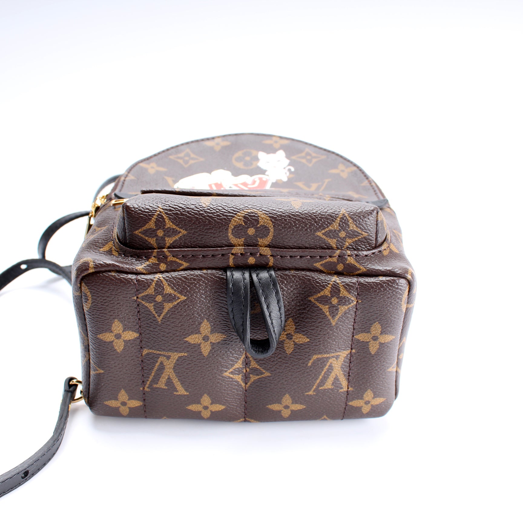 Louis Vuitton Louis Vuitton Monogram Brassley Palm Spring Mini Backpack  Motif Bracelet Gp M6563a
