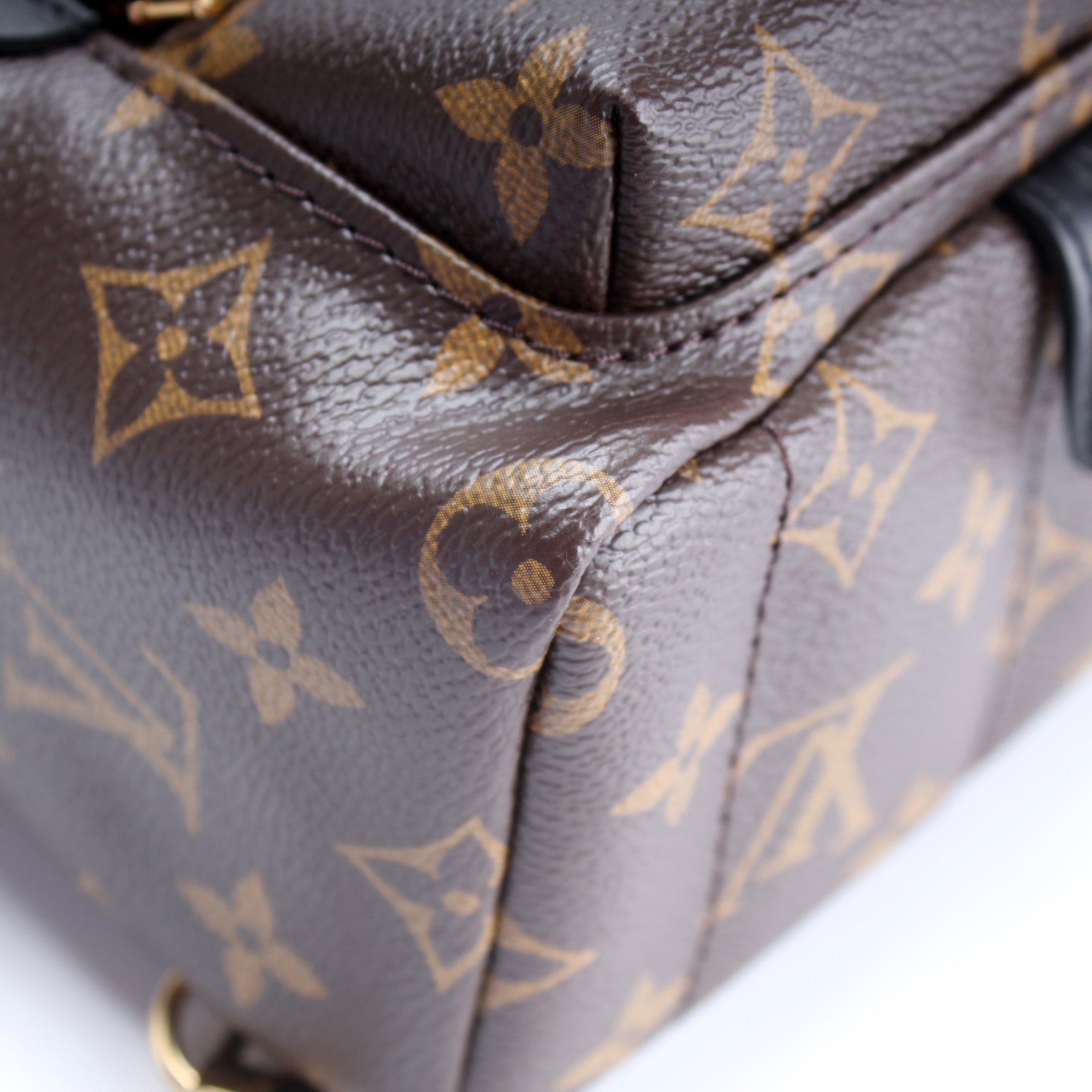 Louis Vuitton M41562 Monogram Canvas Palm Springs Mini Backpack/ Crossbody  Bag - The Attic Place