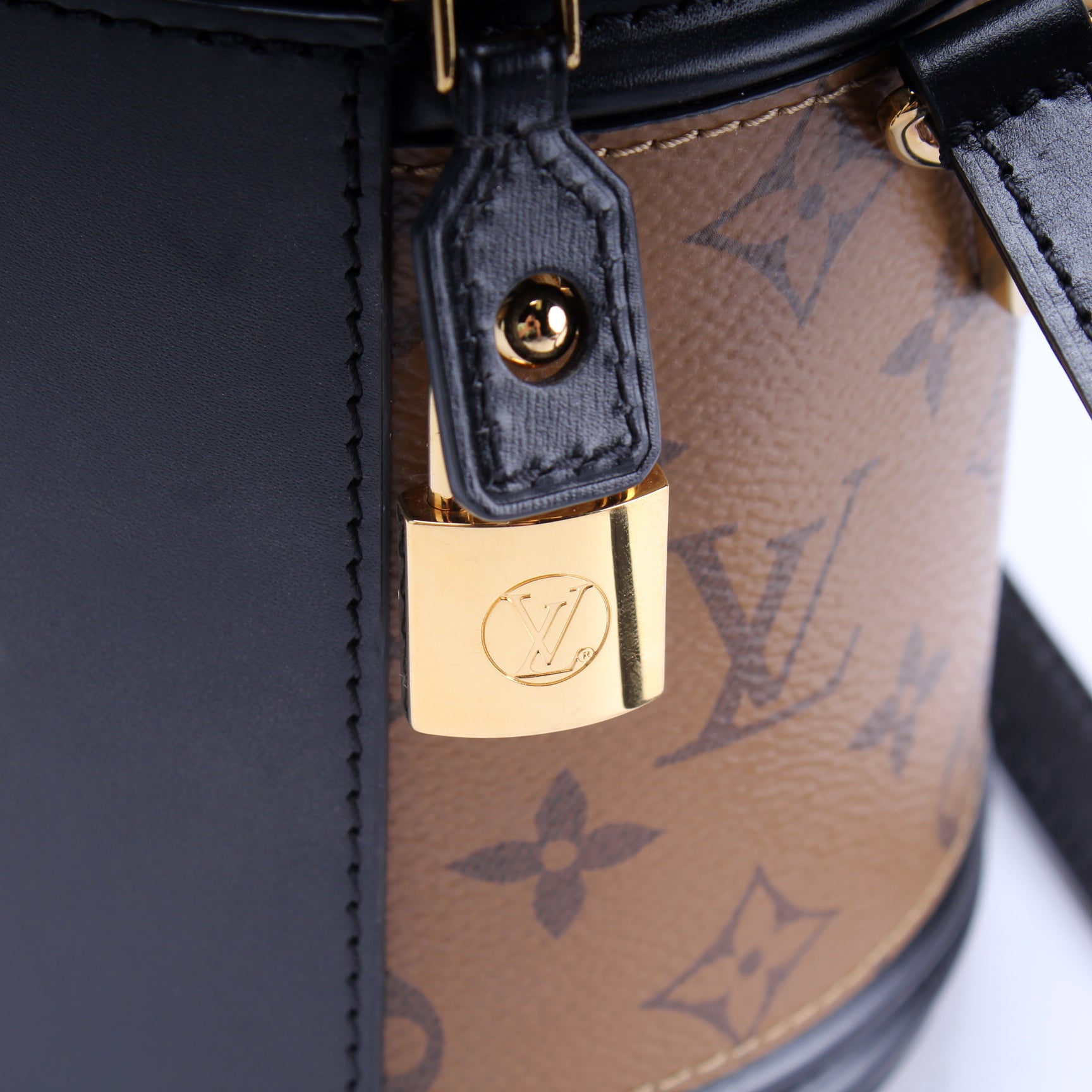 Louis Vuitton Monogram Reverse Cannes Black Crossbody (FL4178) – AE Deluxe  LLC®
