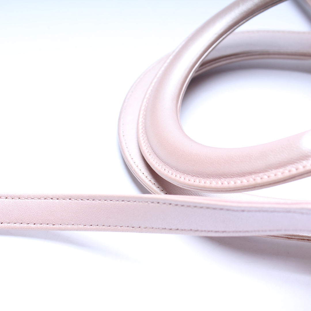 【無料郵送/関税込/正規品】 Dior Lady Primrose Cannage Lambsk Lady Dior Medium Lambskin Cannage