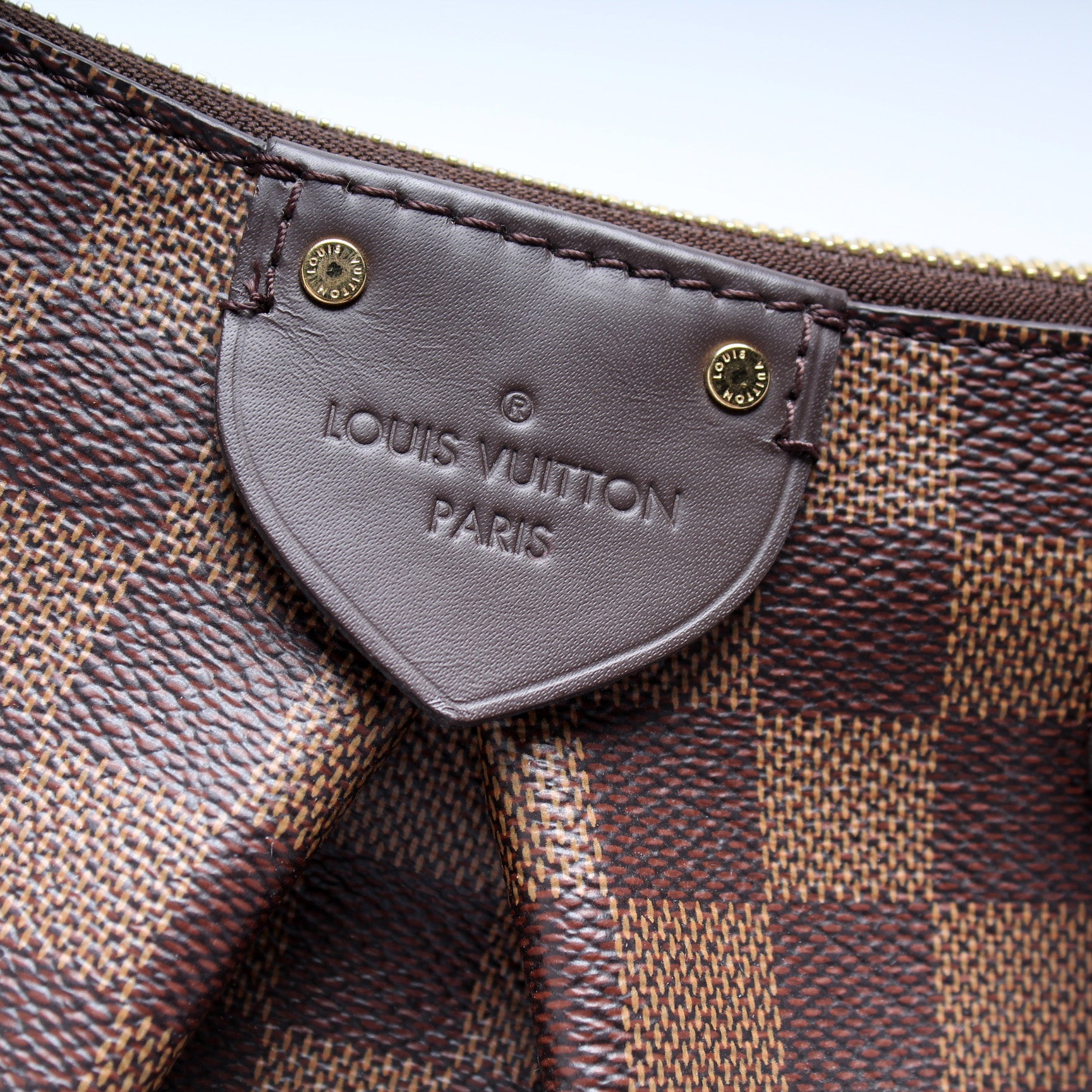 Louis Vuitton Siena MM Bag Brown Leather ref.163108 - Joli Closet