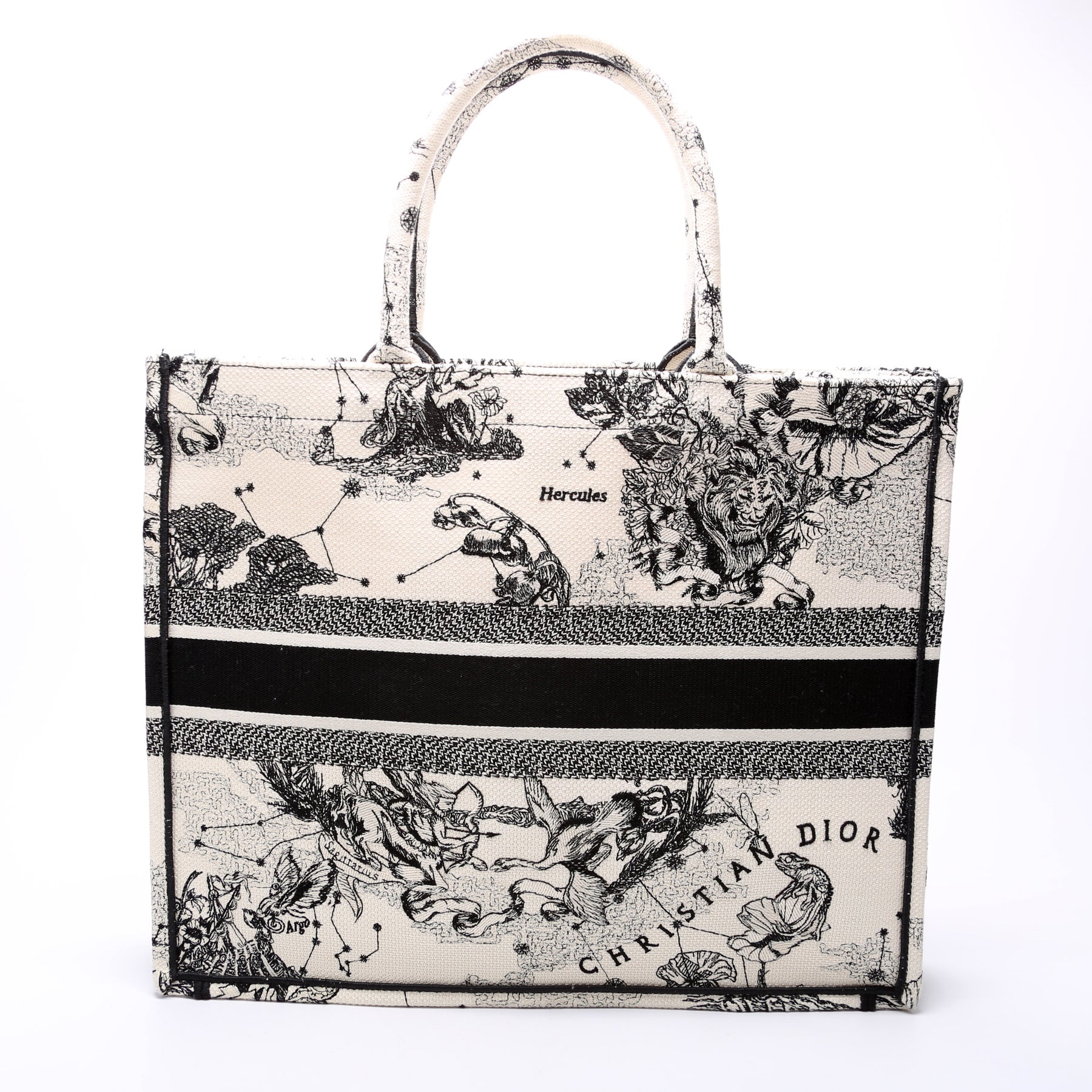 dior book tote On Sale - Authenticated Resale