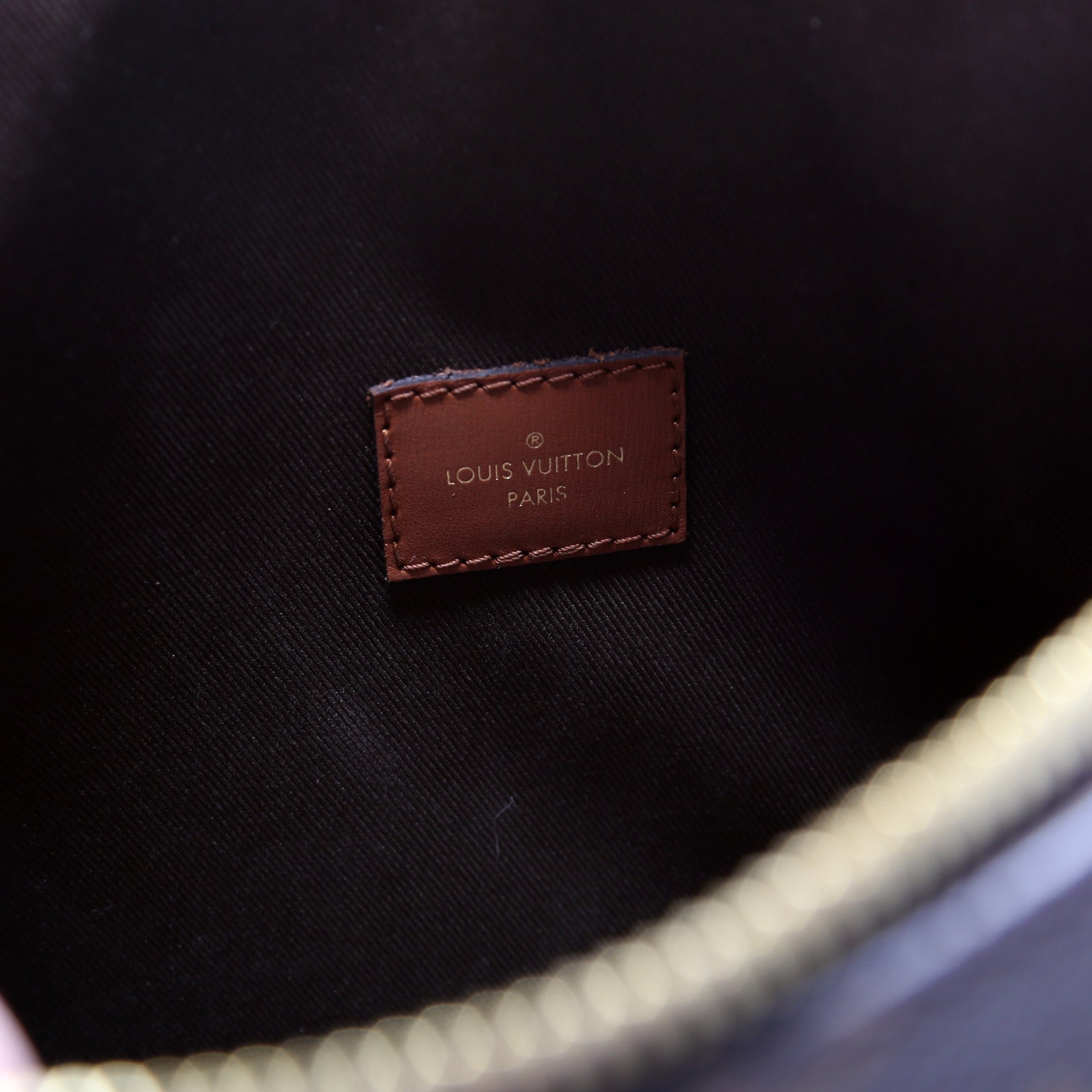 Louis Vuitton Monogram Loop Hobo - Brown Hobos, Handbags - LOU709300